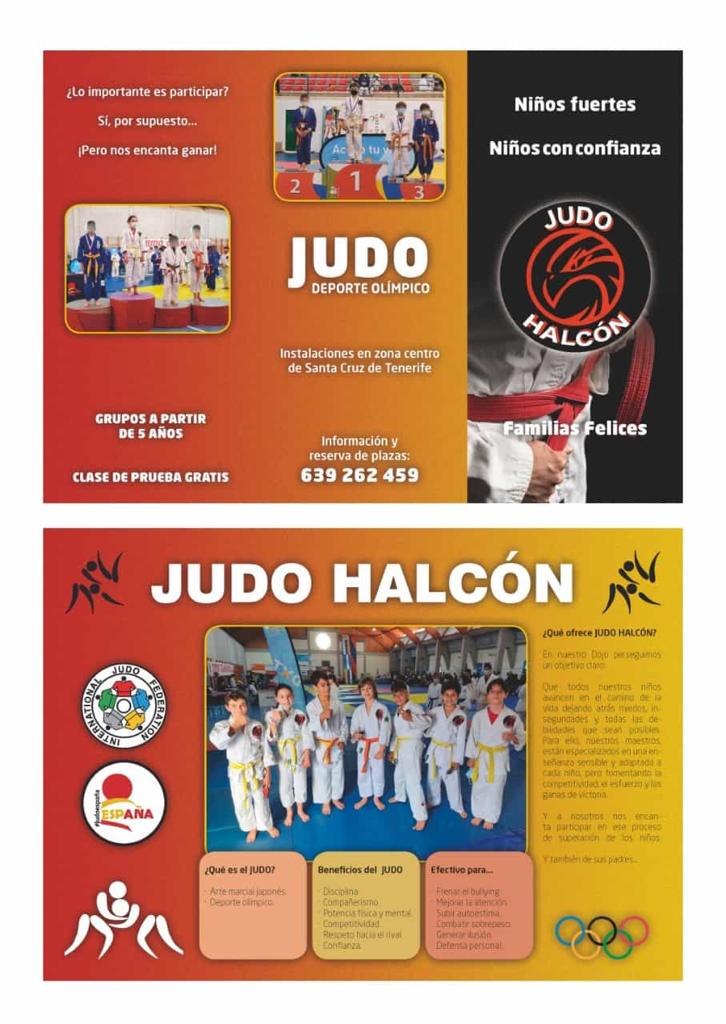 Judo Halcón